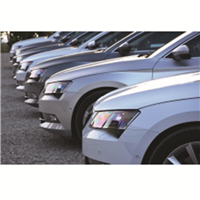 Automotive Dealerships