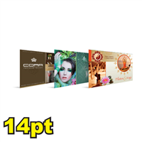 6 1/4" x 11" 14pt Matte/Dull Postcards