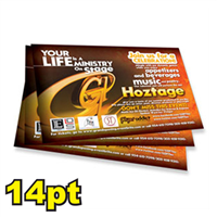 6 1/2" x 9" 14pt Matte/Dull Postcards