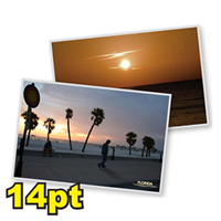 6 1/4" x 9" 14pt Postcards