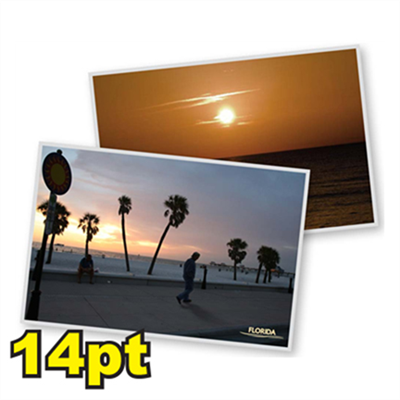 6 1/4" x 9" 14pt Matte/Dull Postcards