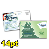 8 1/2" x 7" 14pt Postcards