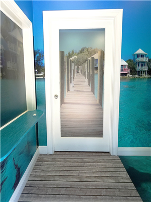 Adhesive Backed Vinyl
