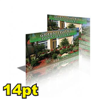 4 1/4" x 11" 14pt Postcards
