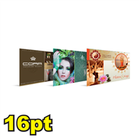 6 1/4" x 11" 16pt Postcards
