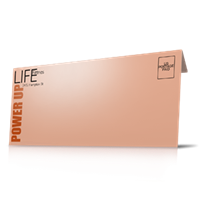 Envelopes - #10