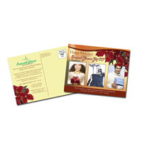 4" x 6" 14pt Matte/Dull Postcards