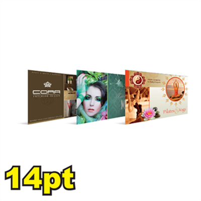 6 1/4" x 11" 14pt Postcards